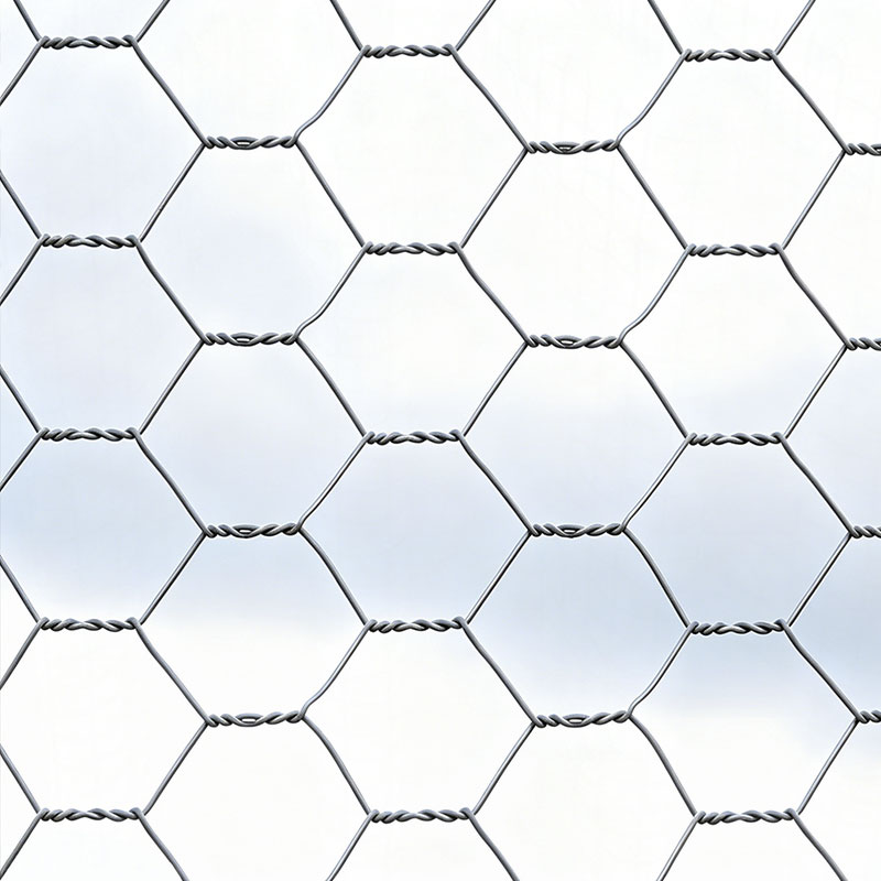 Hexagonal Wire Netting
